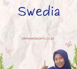 Visa Swedia