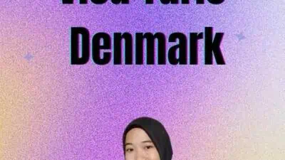 Visa Turis Denmark