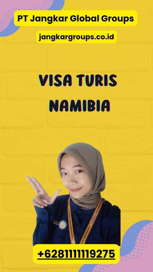 Visa Turis