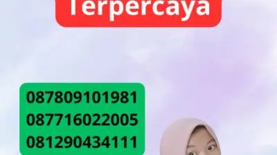 Konsultasi Paspor Dan Visa Jasa Profesional Dan Terpercaya