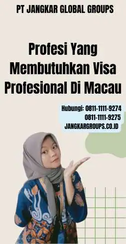 Visa Profesional: Panduan Lengkap