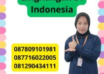 Tips Beradaptasi Dengan Budaya Dan Lingkungan Di Indonesia