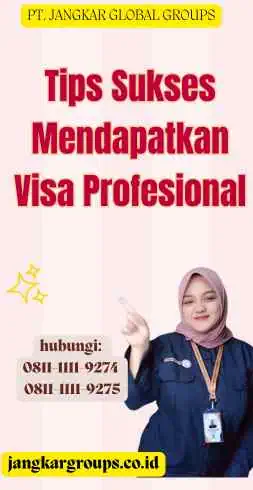 Tips Sukses Mendapatkan Visa Profesional