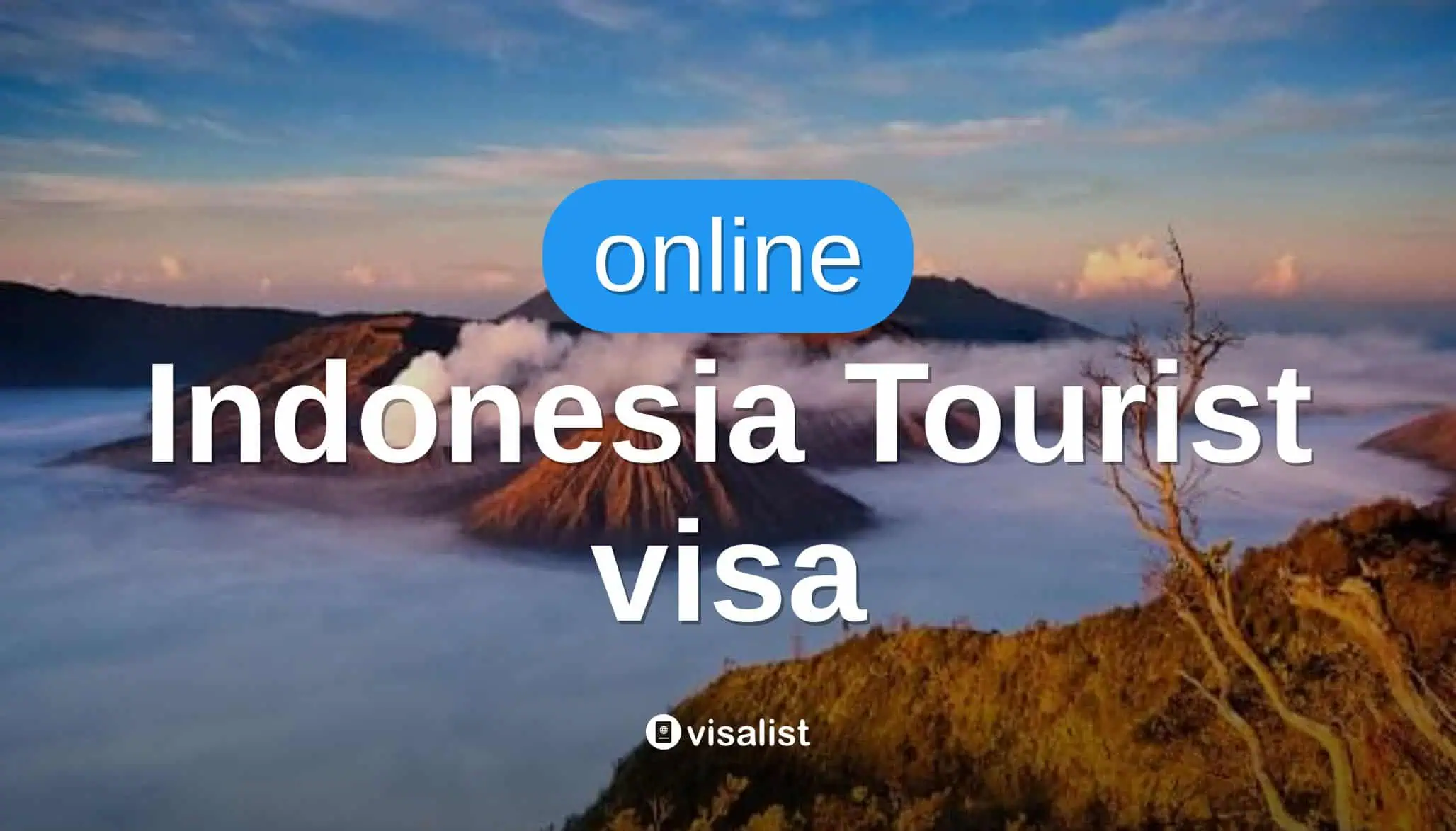 Persyaratan dan Prosedur Pengajuan Visa Pelajar Indonesia