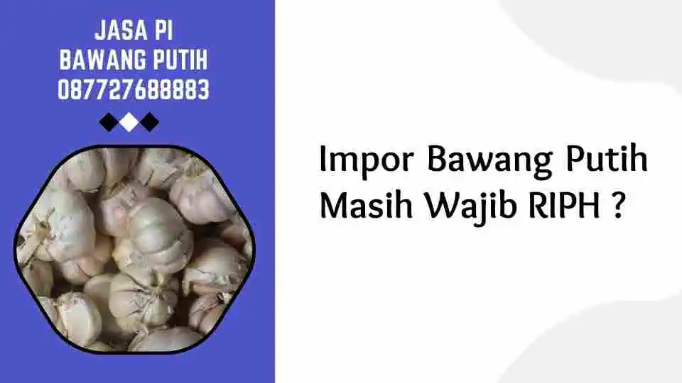 Impor Bawang Putih Masih Wajib RIPH ?