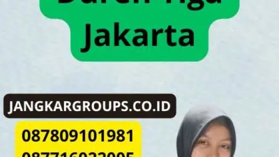 Jasa Penerjemah Tersumpah Duren Tiga Jakarta