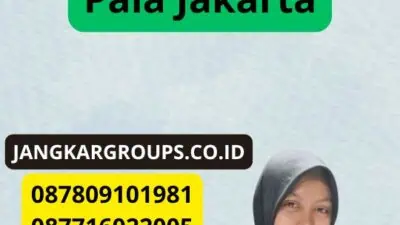 Jasa Penerjemah Tersumpah Kebon Pala Jakarta