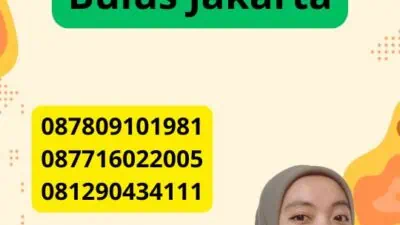 Jasa Penerjemah Tersumpah Lebak Bulus Jakarta