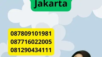 Jasa Penerjemah Tersumpah Petukangan Selatan Jakarta