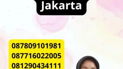 Jasa Penerjemah Tersumpah Rawa Badak Selatan Jakarta