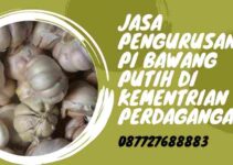 Jasa Pengurusan PI Bawang Putih di Kementrian Perdagangan