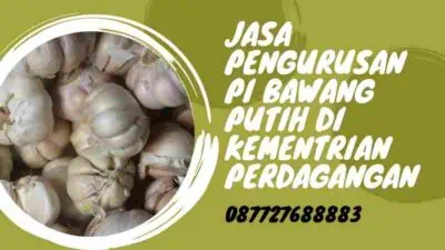 Jasa Pengurusan PI Bawang Putih di Kementrian Perdagangan