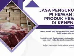 Jasa Pengurusan PI Hewan dan Produk Hewani di Kemendag