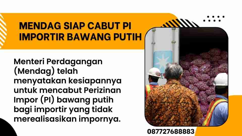 Mendag siap cabut PI importir bawang putih