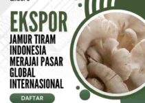 Ekspor Jamur Tiram Indonesia Merajai Pasar Global Internasional