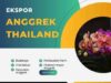 Impor Anggrek Thailand