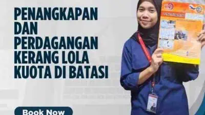 Penangkapan dan Perdagangan Kerang Lola Kuota di Batasi